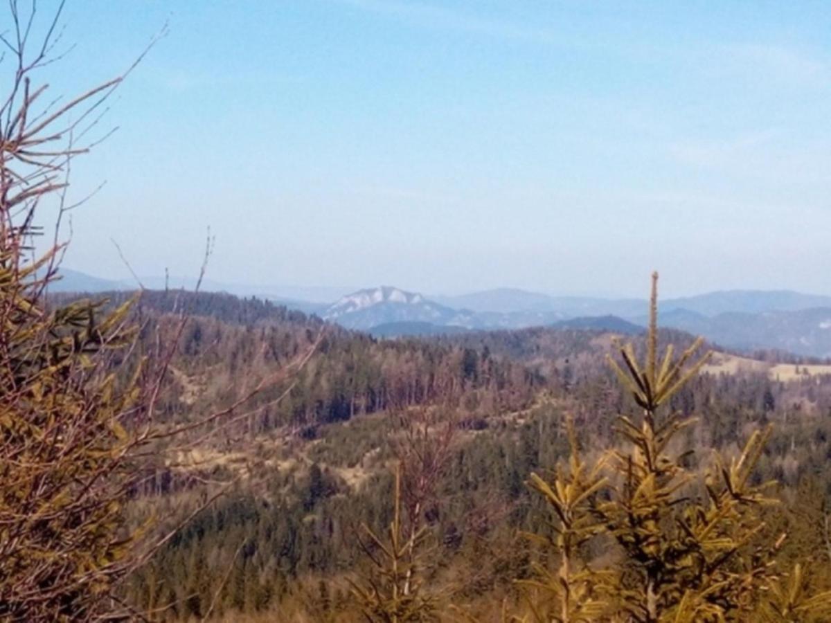Penzion Pod Magurou Slovenská Ves Exterior foto