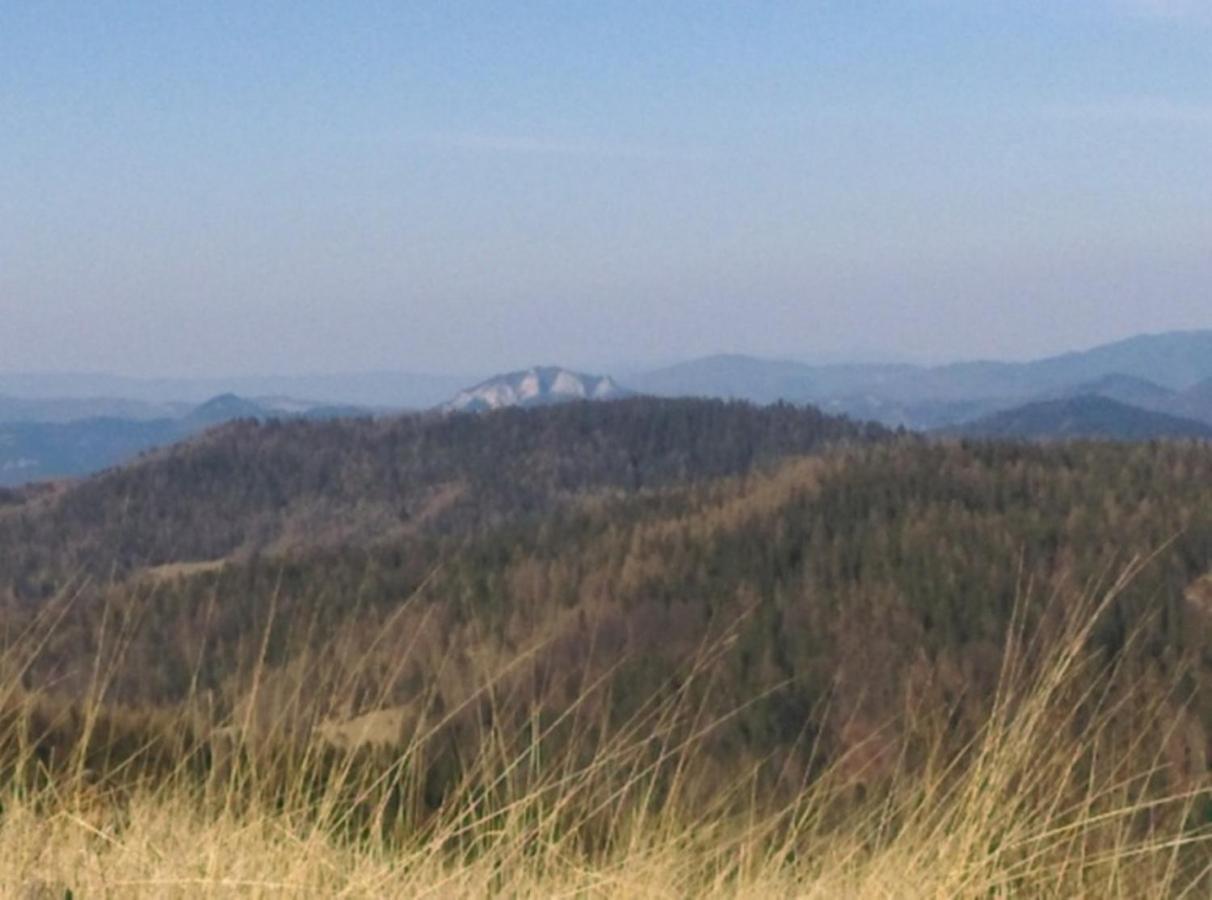Penzion Pod Magurou Slovenská Ves Exterior foto