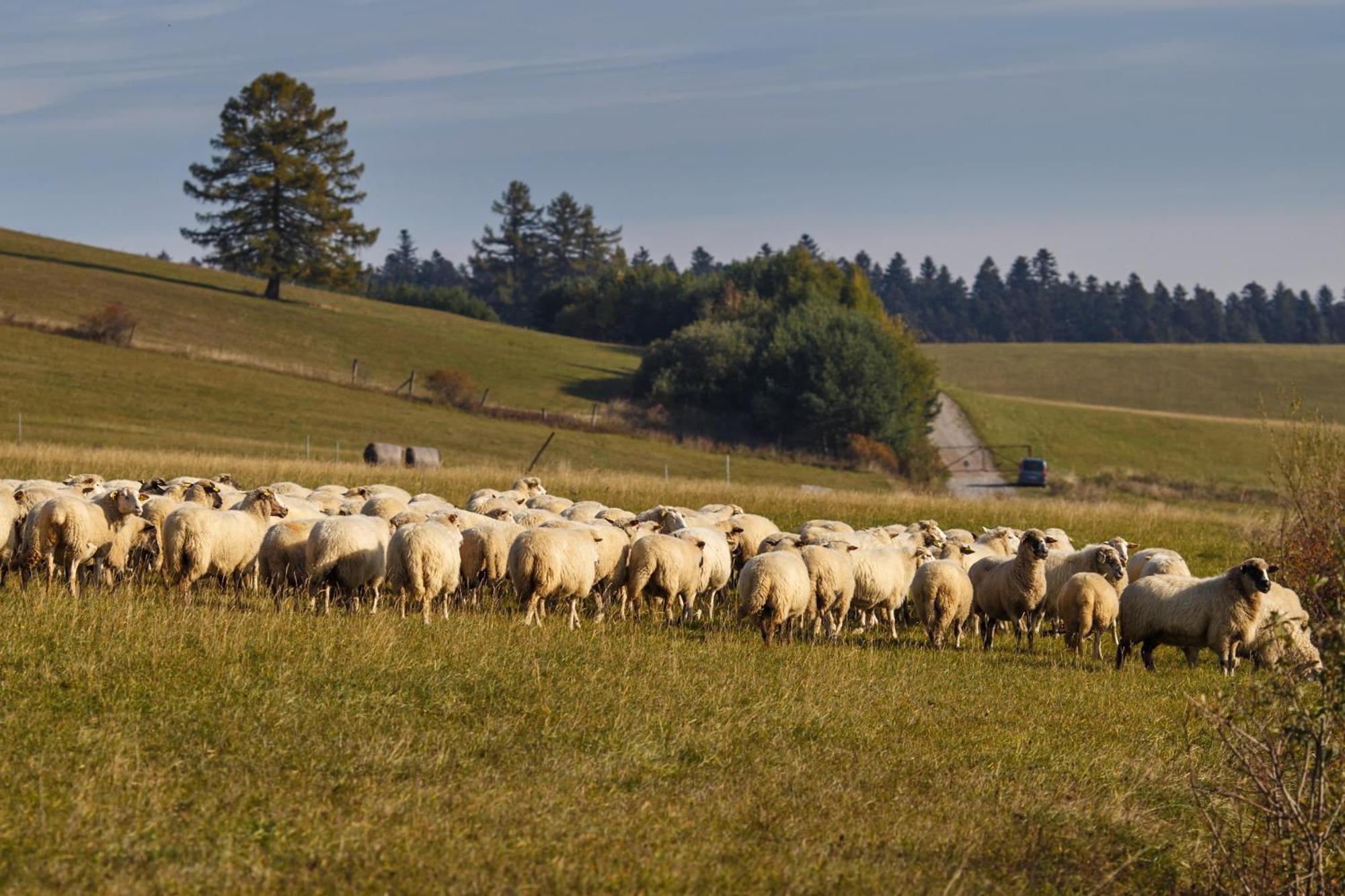 Penzion Pod Magurou Slovenská Ves Exterior foto
