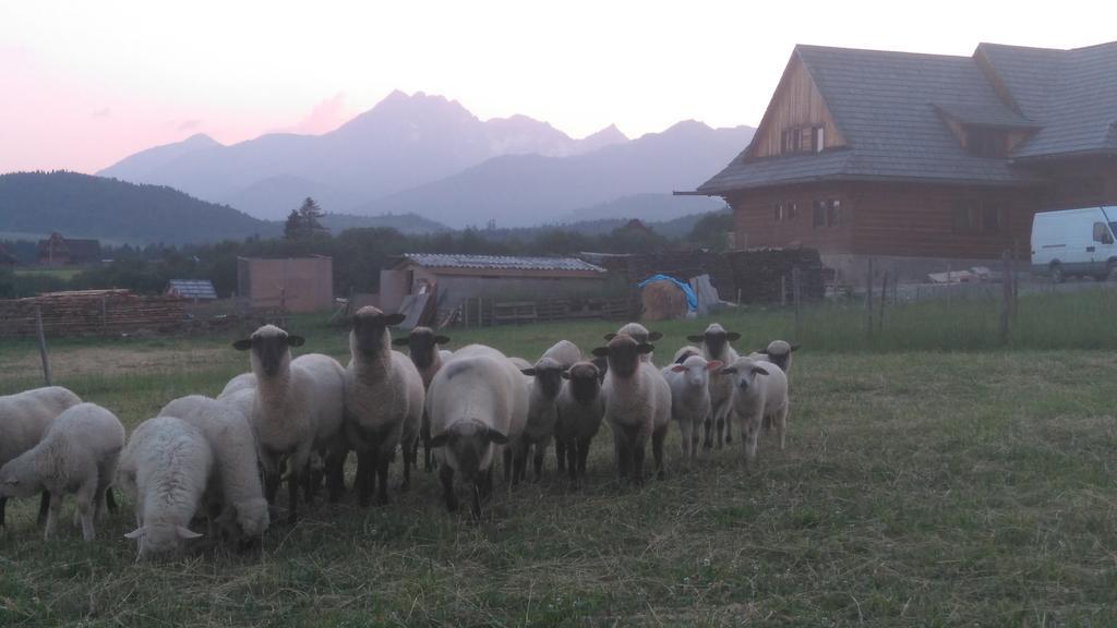 Penzion Pod Magurou Slovenská Ves Exterior foto