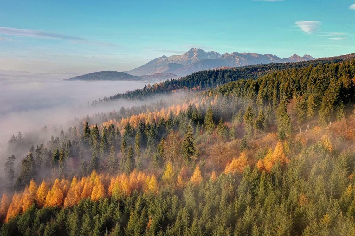 Penzion Pod Magurou Slovenská Ves Exterior foto